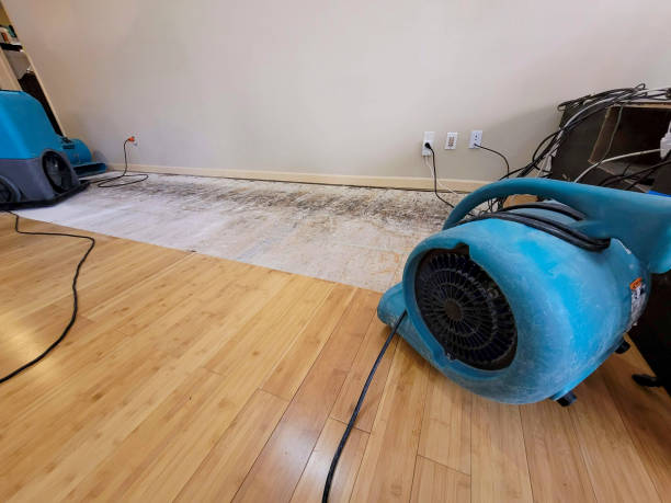 Professional Water Extraction technician working in West Concord, MA